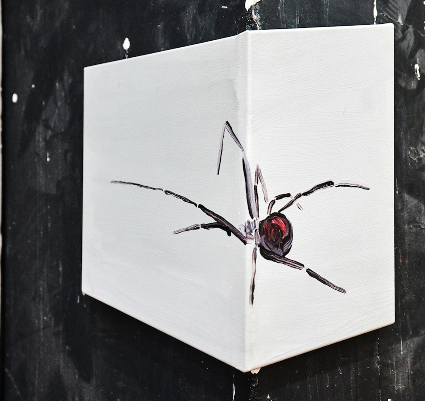 Spider, 2016