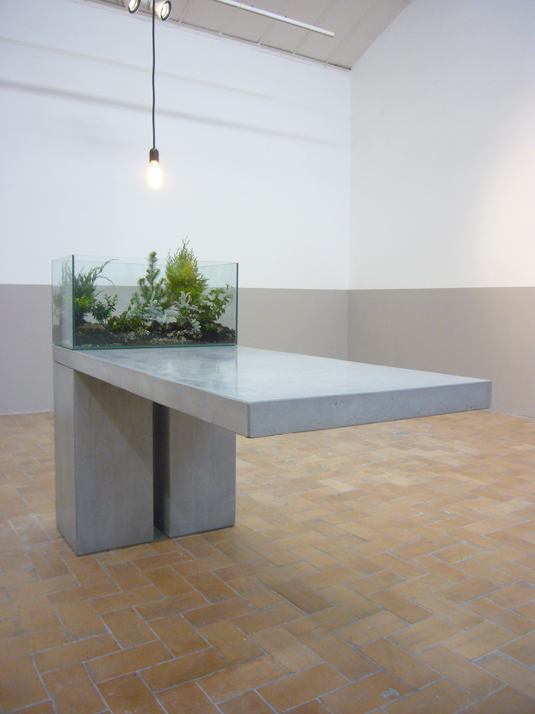 Andrea Blum - Table rock plant, 2013