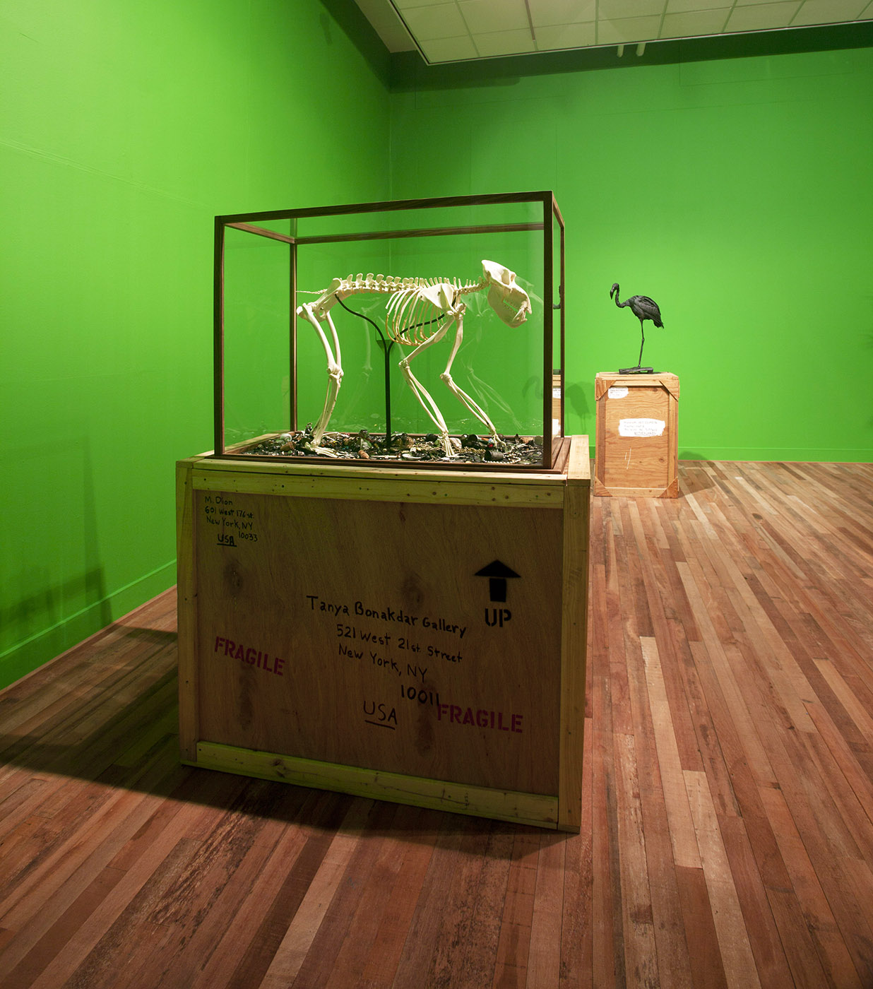 Mark Dion - The Macabre Treasury - Exhibition views, Museum Het Domein, Sittard, the Netherlands, 2013
