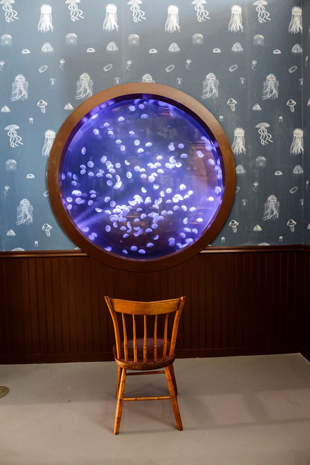 Mark Dion - Exhibition view - The Trouble with Jellyfish - Le Laboratoire, Cambridge (USA), 2015