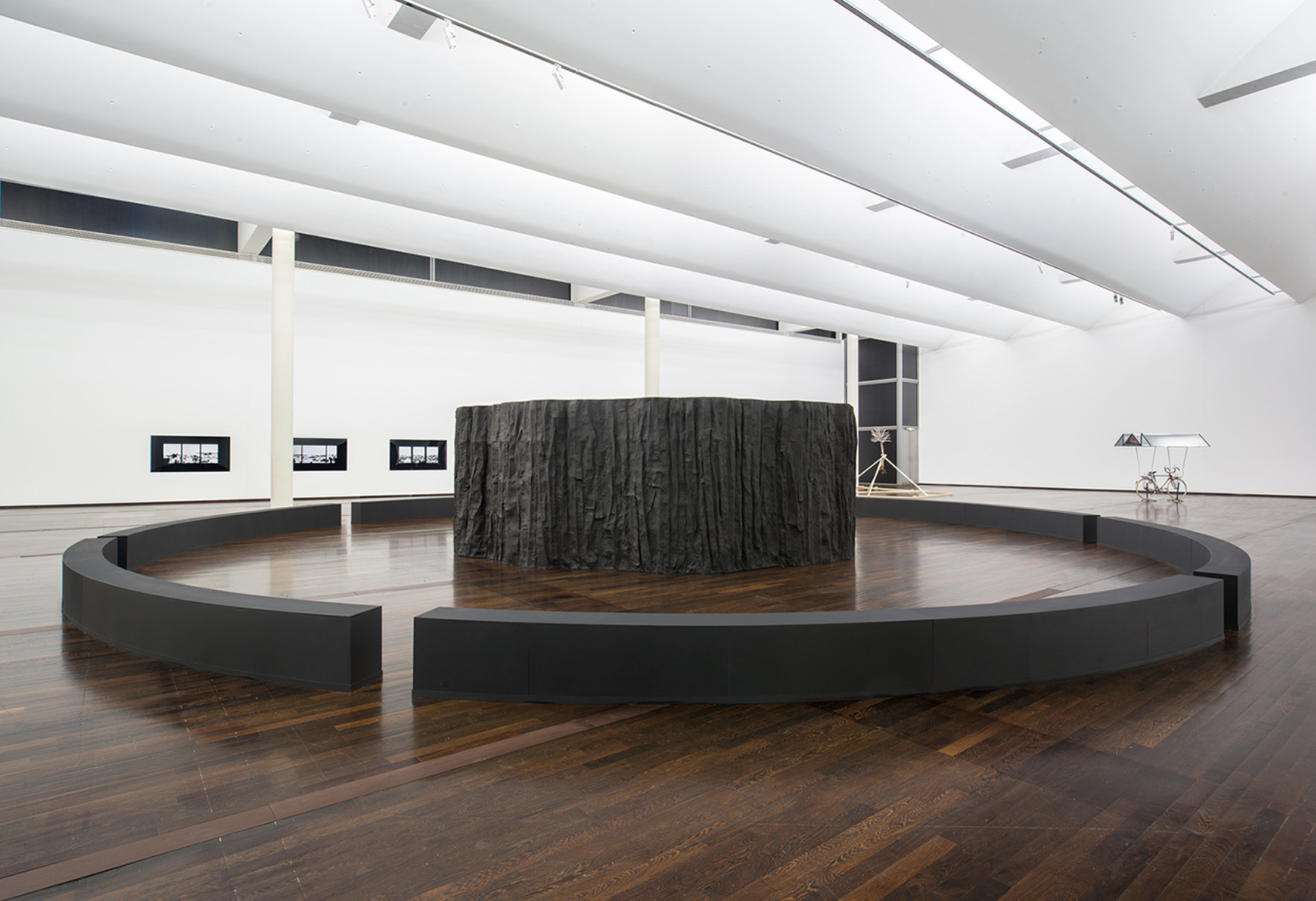 Renaud Auguste-Dormeuil - Include Me Out, 26.10-19.01.14