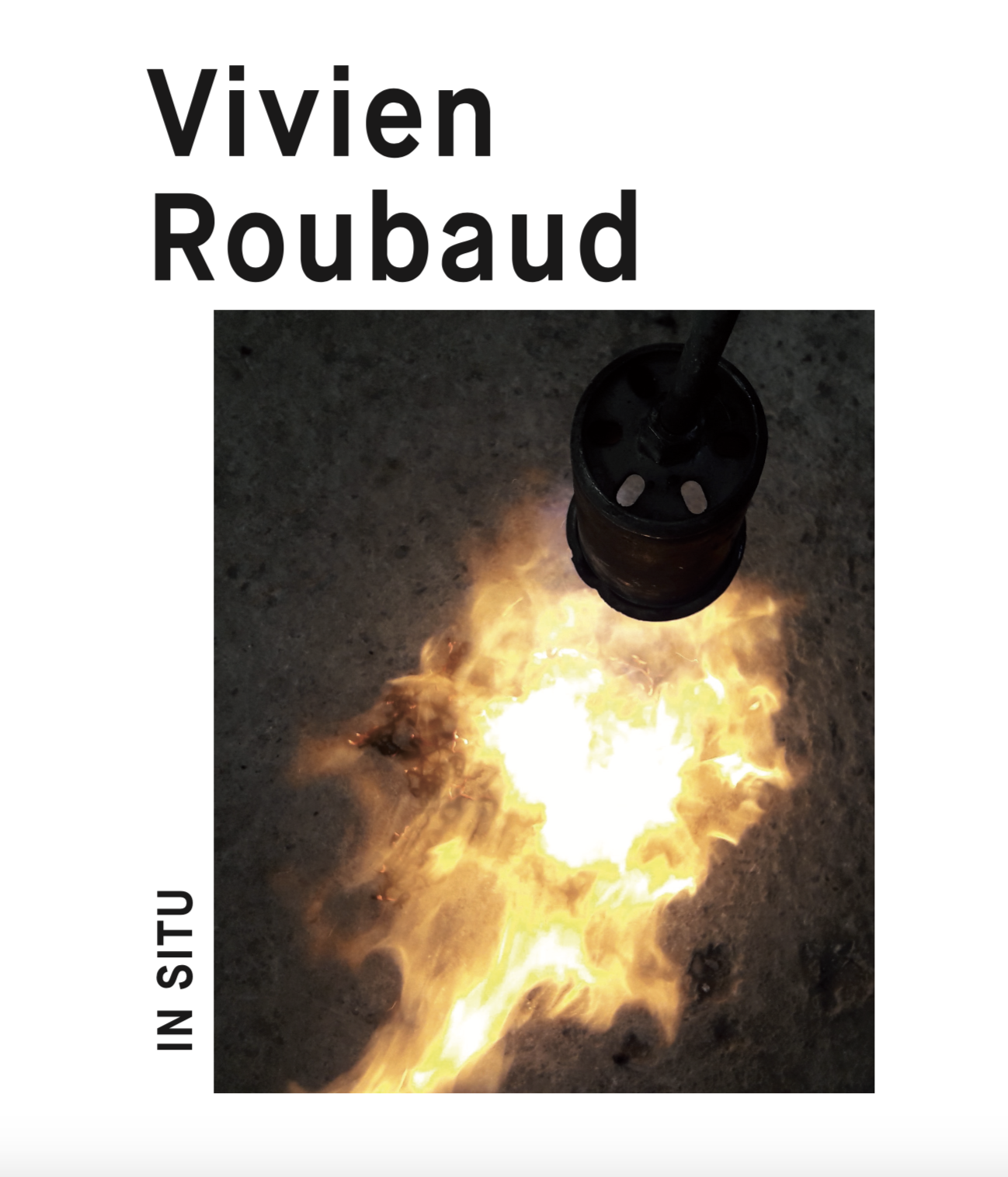 Vivien Roubaud IN SITU