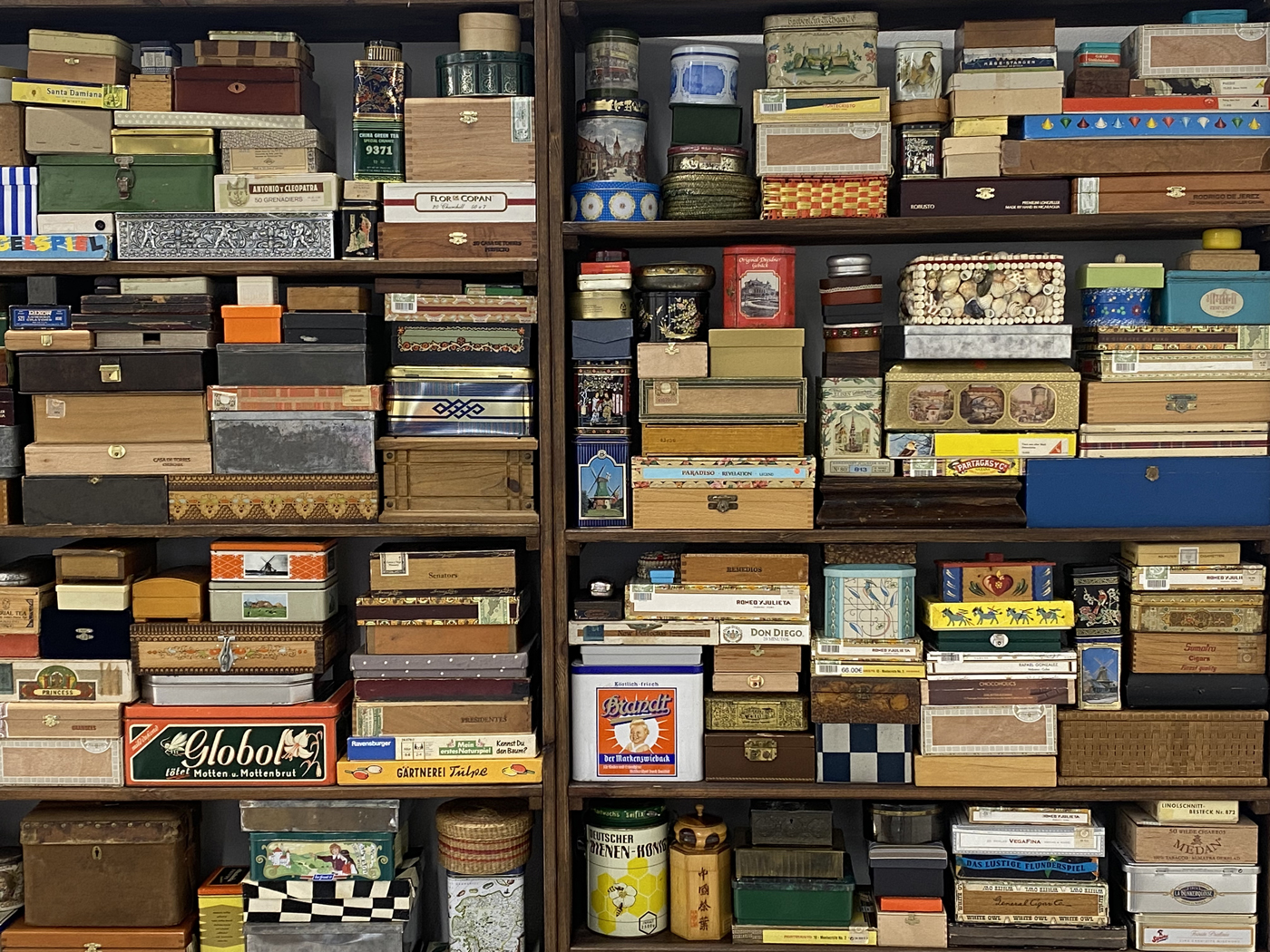 Upcoming / The Memory Box