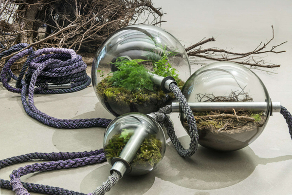 Otobong Nkanga : Ralisme magique :  Imaginer la nature en ds/ordre