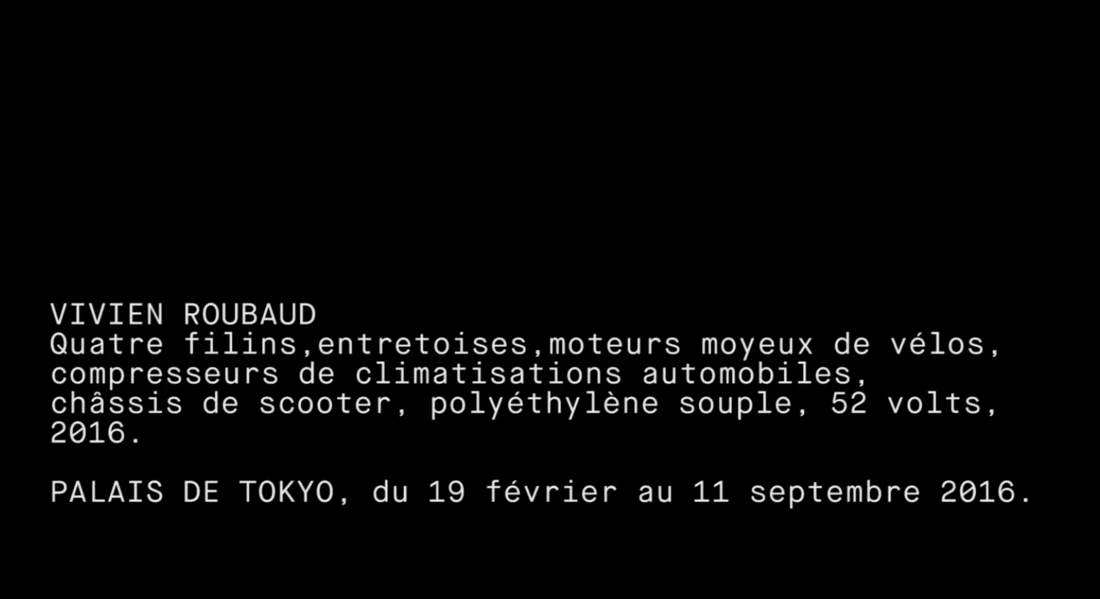 Vivien Roubaud - Palais de Tokyo, Paris (2016)