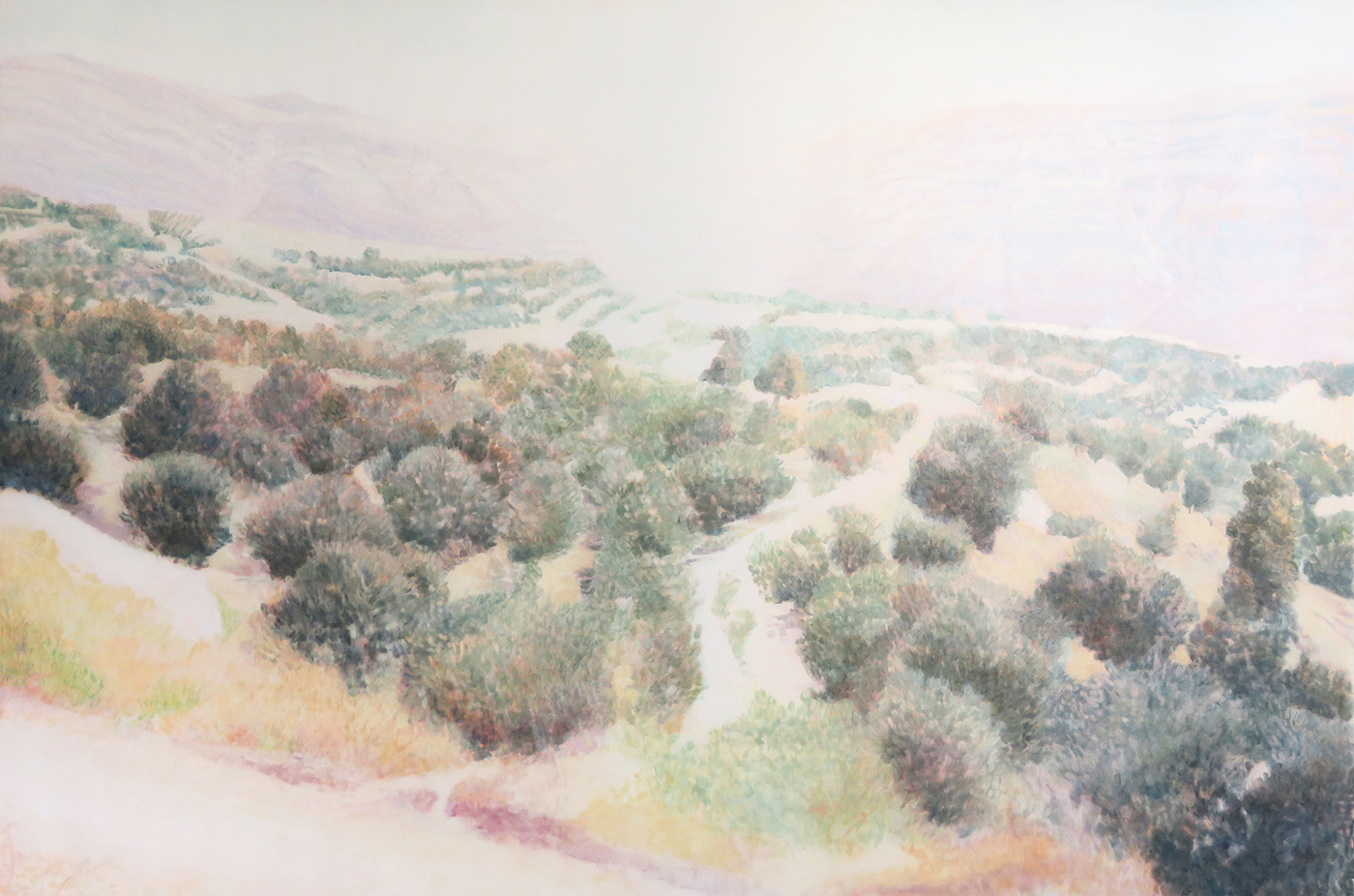 Mountain Blossom, 2019
