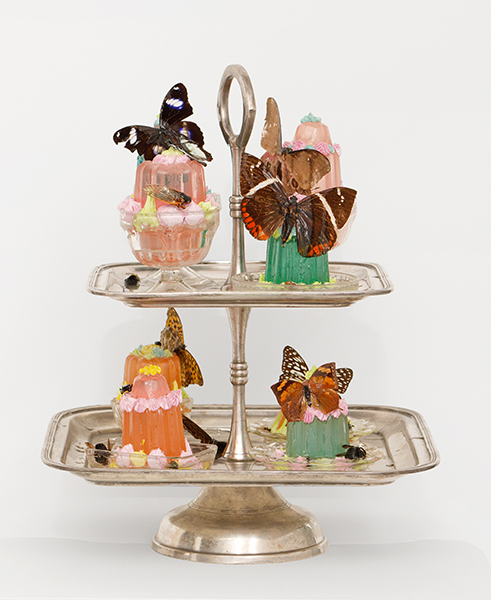 Mark Dion : Trop Mignon ! L'art du bonheur